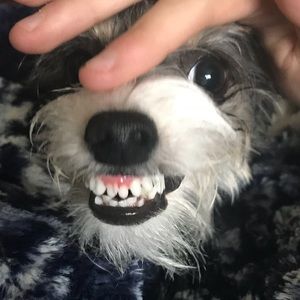 Meet your Posher, Jerri